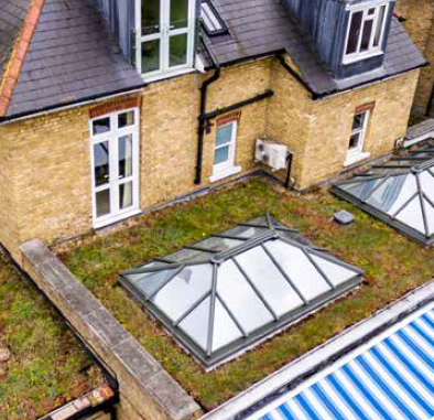 Green Roof Installation